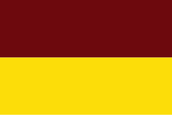 Bandera de TOLIMA